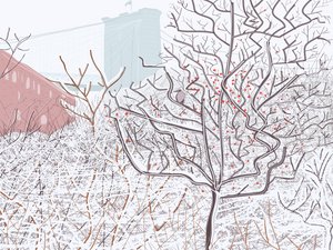 Vogel im Schnee, Brooklyn Bridge Park von Evan Sklar