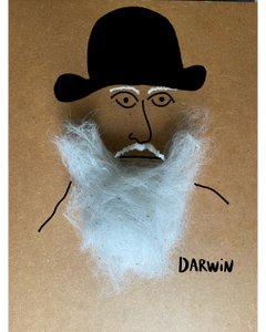 Charles Darwin von Evan Sklar