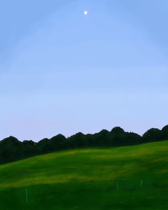 Vermont Feld, Morgendämmerung von Evan Sklar
