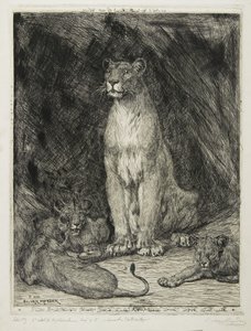 Sitzende Löwin und drei Junge, 1888