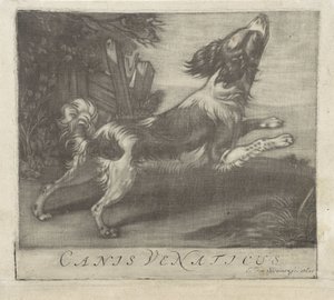 Springender Hund von Evert van Sweinen