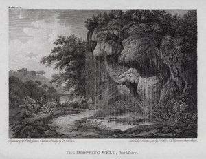 Der Tropfende Brunnen, Yorkshire von F. (after) Nicholson