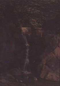 Wasserfall in einer Waldlandschaft