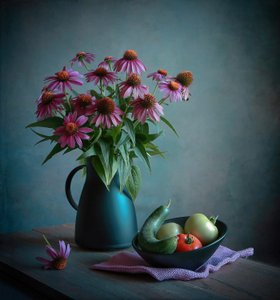 Echinacea und Ernte
