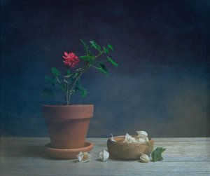Stimmungsvolle Topfblume von Fangping Zhou
