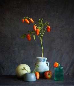 Orange Tomaten rustikales Stillleben