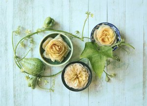 Pastellrosen und Kürbisse