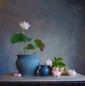 Serenes Lotus-Stillleben