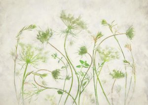 Weiche grüne Botanicals von Fangping Zhou