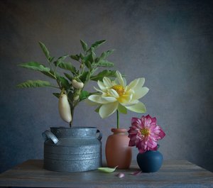 Weiße Auberginen-Dahlie Stillleben von Fangping Zhou