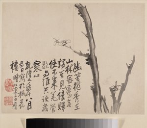 Album der blühenden Pflaume