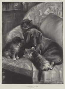 Samtpfoten von Fannie Moody
