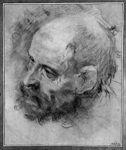 Kopf eines bärtigen Mannes, nach links gewandt und zur Seite geneigt von Federico Barocci