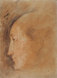 Frauenkopf im Profil nach links von Federico Barocci