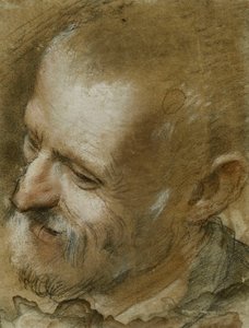 Studie des Kopfes eines bärtigen Mannes, nach links gedreht, 1590 von Federico Fiori Barocci or Baroccio