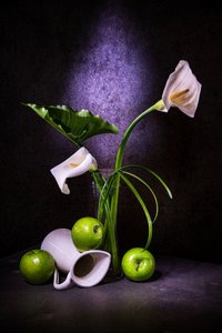Elegante Calla-Lilien und Grüne Äpfel