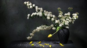 Elegantes Blumenstillleben von Felice Angelino