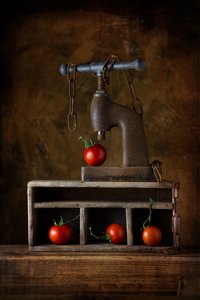 Rustikale Tomatenpresse
