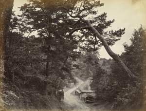 Blick auf die Tokaido-Straße