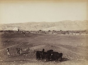 Eine felsige Gegend mit Kindern und weidenden Tieren, in Ägypten