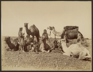 Rast der Kamelreiter in der Wüste von Félix Bonfils