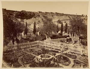 Garten von Gethsemane