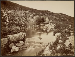 Der Brunnen von Elisee, Palästina von Félix Bonfils