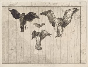 An eine Scheunentür genagelte Vögel (Le haut d