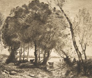 Der See von Felix Bracquemond