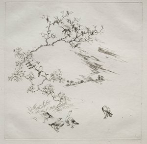 Pariser Service Haviland Service: Nacht Nr. 7, 1875 von Felix Bracquemond