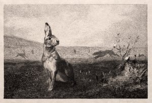 Der Hase nach A. de Balleroy, 1865 von Felix Bracquemond