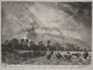 Die Sturmwolke von Felix Bracquemond