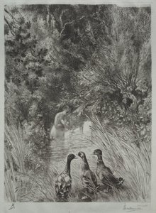 Die überraschten Enten von Felix Bracquemond