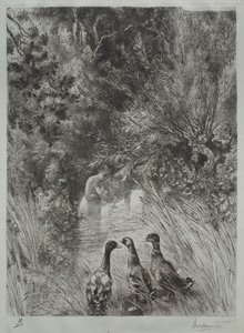Die überraschten Enten von Felix Bracquemond