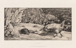 Der Unbekannte von Felix Bracquemond