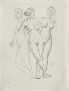 Drei Grazien, Studie