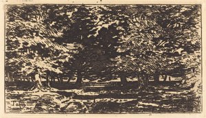 Wald von Felix Hilaire Buhot