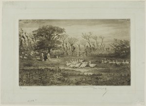 Gänse von Felix Hilaire Buhot