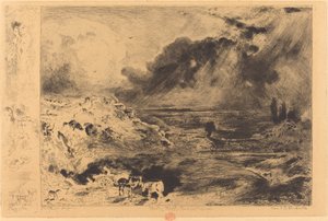 Der Sturm, 1879