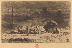 Die Esel von La Butte-aux-Cailles, 1873-1874 von Felix Hilaire Buhot