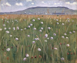 Wiesenstück, ca. 1901
