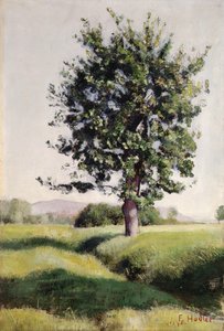 Der Baum