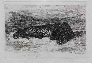 Tiger liegend in der Wüste