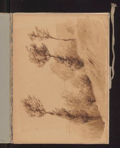 Bäume auf einem Hügel, vom Wind bewegt von Ferdynand Ruszczyc
