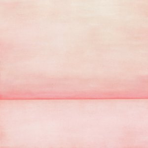 Sanfter Rosa Horizont von Fernando Vieira