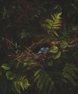 Vogelnest und Farne, 1863