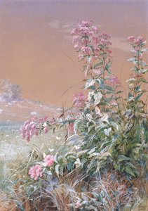 Ohne Titel, 1876