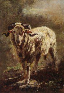 Ziege