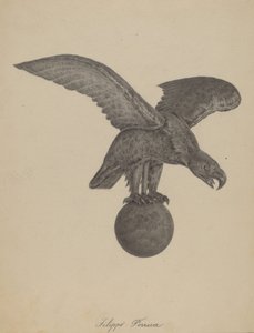 Adler