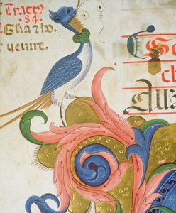 Missale 515 f.28v Fantastischer Vogel mit menschlichem Kopf, Detail aus einem Chorbuch